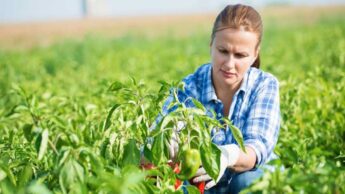 7 Careers In Agriculture You Can Explore