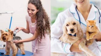 7 Interesting Jobs That Need You To Work With Animals