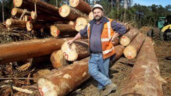 9 Most Dangerous Jobs In The World