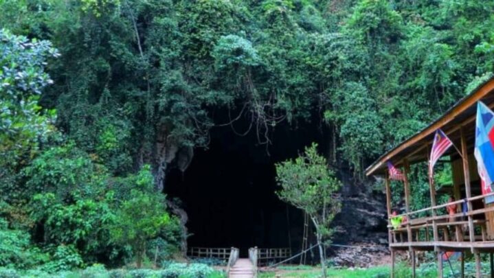 The Caves Of Horrors: Gomantong Caves Is The One You Should Have A Peek At