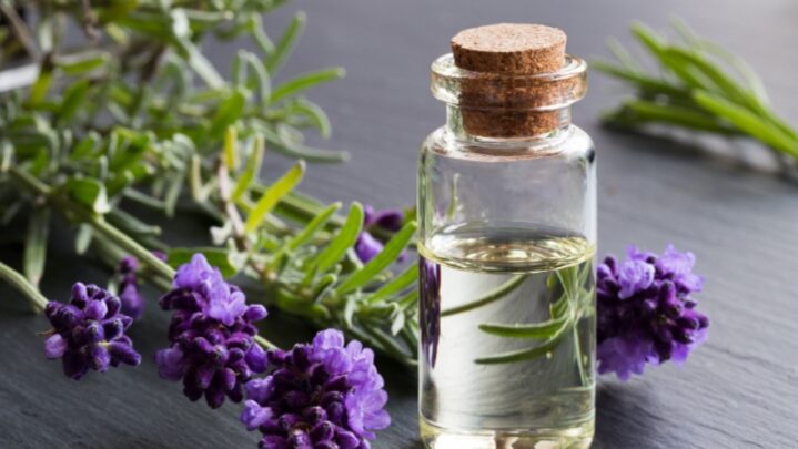 Adrenal Fatigue And Essential Oils For It