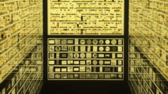 A Museum Filled With Microscopic Animals!!! Have A Look