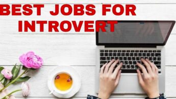Are You An Introvert? Here are the Best Jobs For You