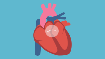 Congenital Heart Disease: Causes, Risk Factors And Symptoms