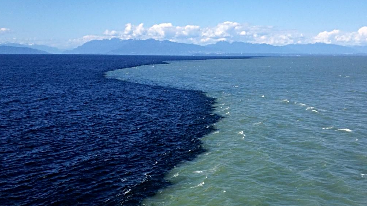 Ever Wondered Where The World's Oceans Meet: Know Here