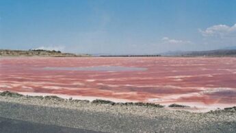 Have You Seen Kenya’s Pink Lake Yet: Have A Look
