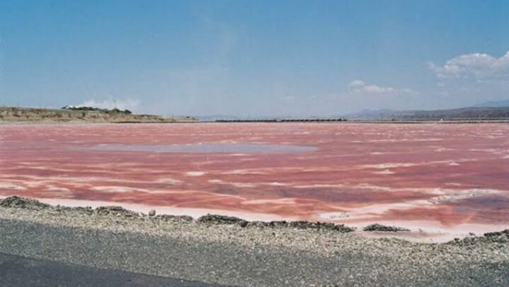 Have You Seen Kenya’s Pink Lake Yet: Have A Look