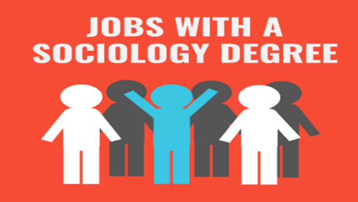Having A Degree In Sociology? Here Are 6 Jobs That Are Best Suited For You