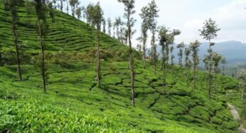 Best Hill Stations In India To Ease Your Mountain Lust