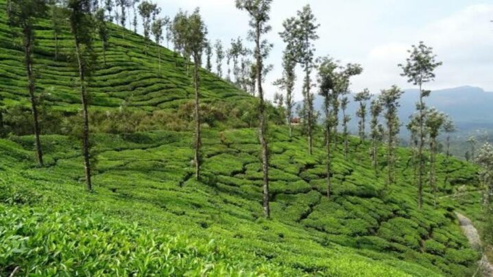 Best Hill Stations In India To Ease Your Mountain Lust