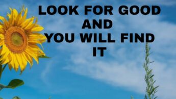 Must Read: Look For Good And You Will Find It