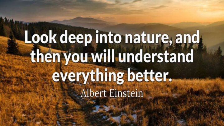 Quotes On Nature To Reconnect With Mother Earth