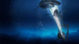 Top 5 Most Thrilling Movies On Sharks You Must Watch 4