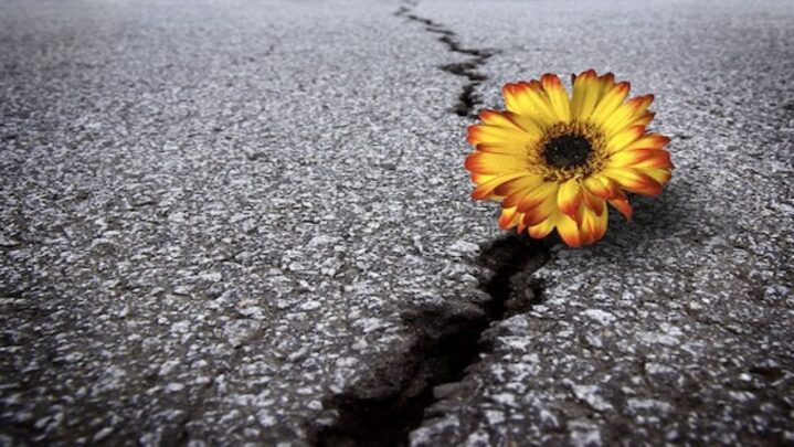 Ways To Reap The Benefits Of Post-Traumatic Growth