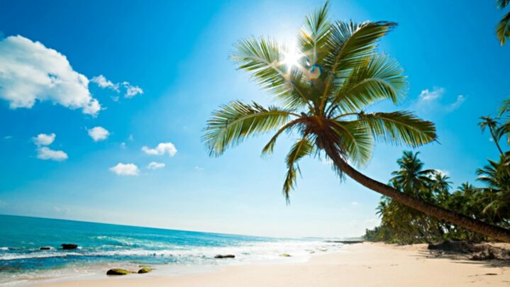 The Caribbean? Know Some Interesting Facts About It