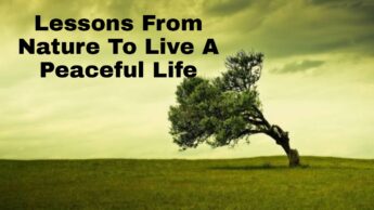5 Lessons From Nature To Live A Peaceful Life