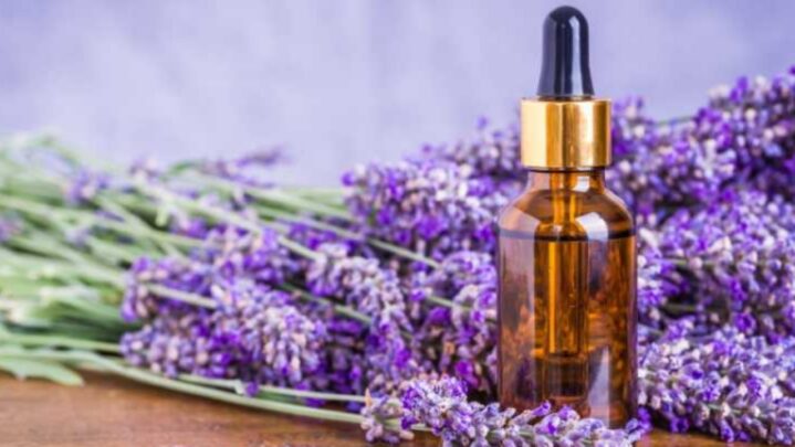 7 Uses Of Lavender Oil
