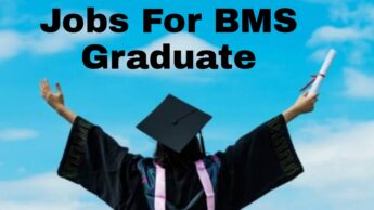 9 Best Jobs For BMS Graduate