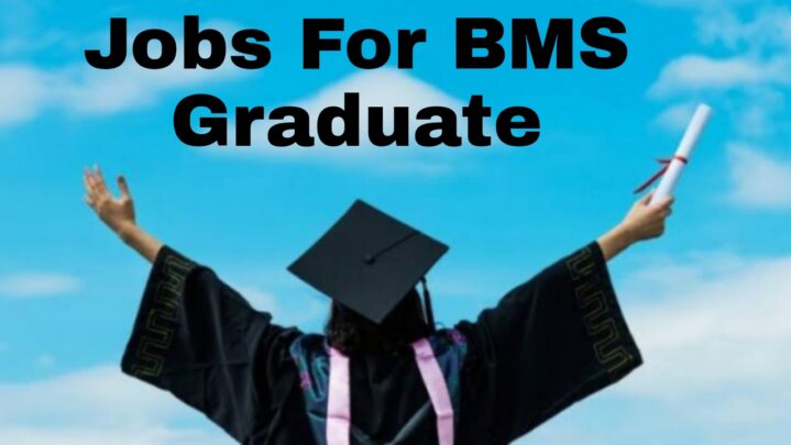 9 Best Jobs For BMS Graduate