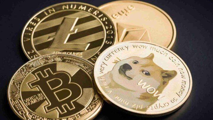 Bitcoin Or Doge: What Would You Choose?