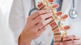 Bone Marrow: Functions And Disease
