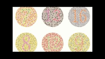 Colour Blindness: Causes And Types