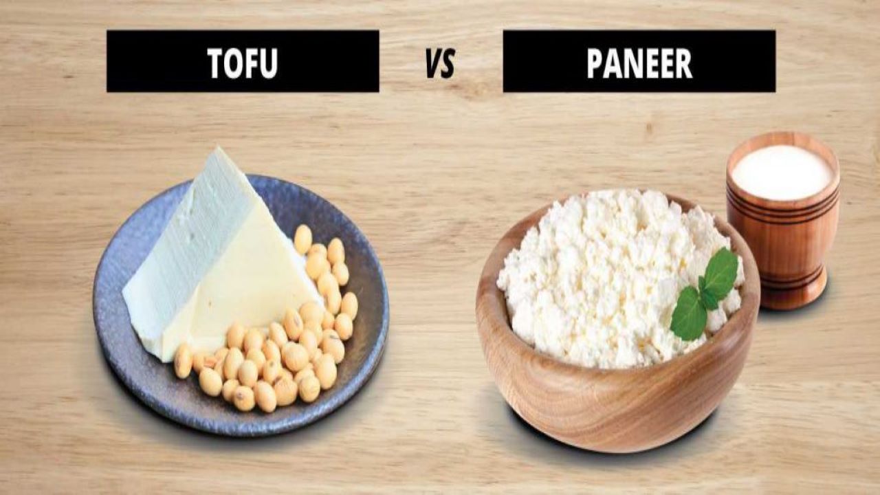 Difference Between Tofu and Paneer