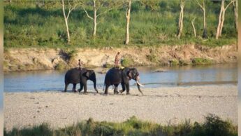 Embrace The Wilderness Within You With Wildlife Sanctuaries Of Kerala
