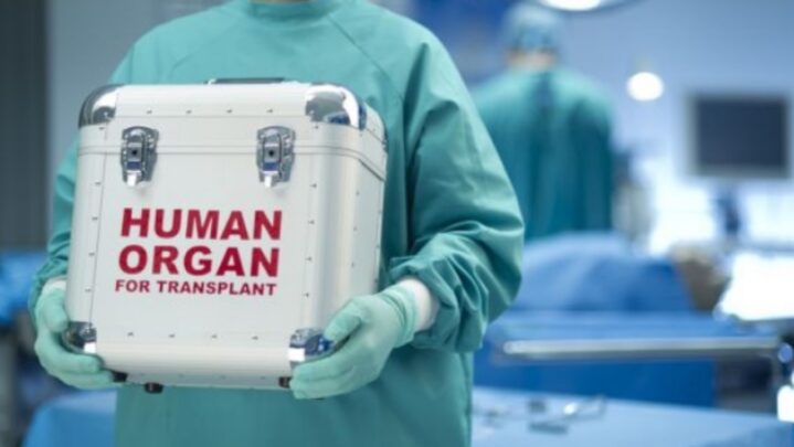 Get Educated: Human Organs That Can Be Donated
