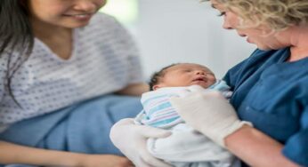 All You Need To Know About Midwife