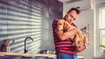 Important Benefits Of Emotional Support Animal (ESA)