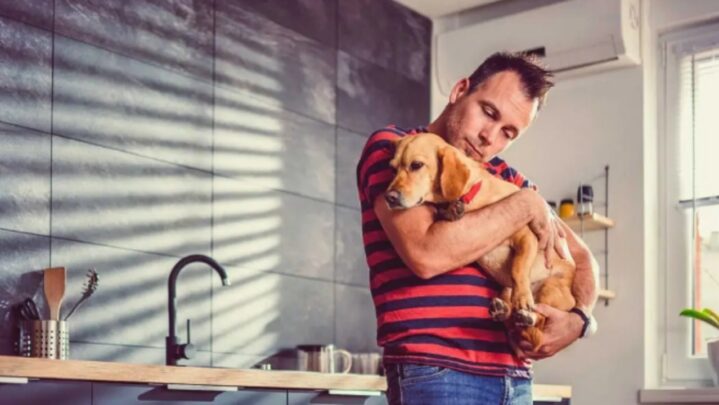 Important Benefits Of Emotional Support Animal (ESA)