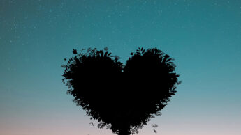 Must Read: True Meaning Of Having A Heart