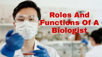 Roles And Functions Of A Biologist