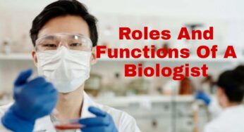 Roles And Functions Of A Biologist