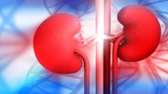 Signs That Show You Have Kidney Disease
