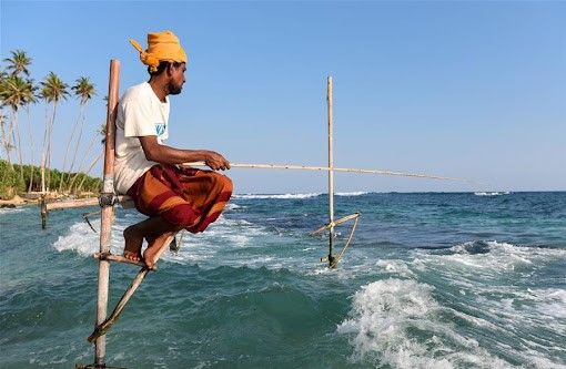 Stilt Fishing Tradition Of Sri-Lanka: Have A Look 1
