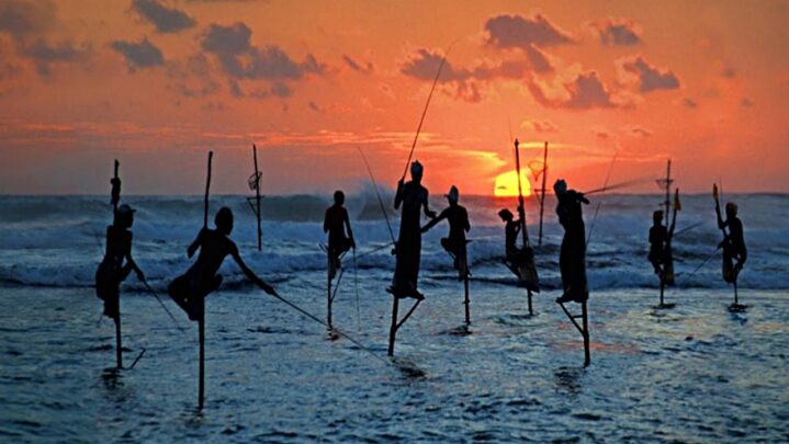 Stilt Fishing Tradition Of Sri-Lanka: Have A Look