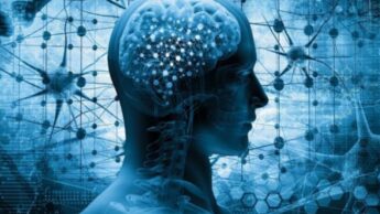 Tips To Speed Up The Learning Process At Your Work Station