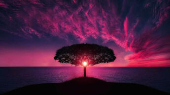 Ways To Buy Your Freedom From Fear And Suspicion