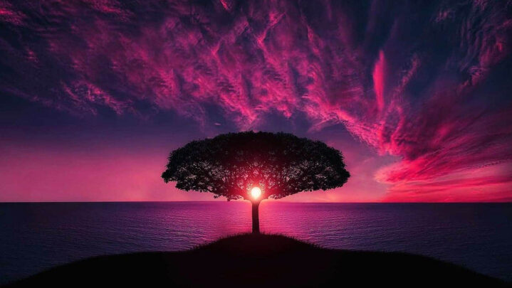 Ways To Buy Your Freedom From Fear And Suspicion