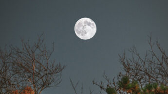 What Is Moon Bathing?