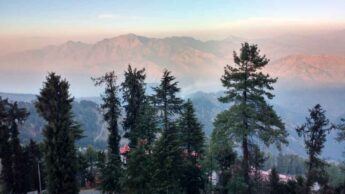 Winter Vibes In Kasauli: Here Is Why You Must Visit