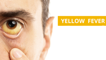 Yellow Fever: Causes And Symptoms