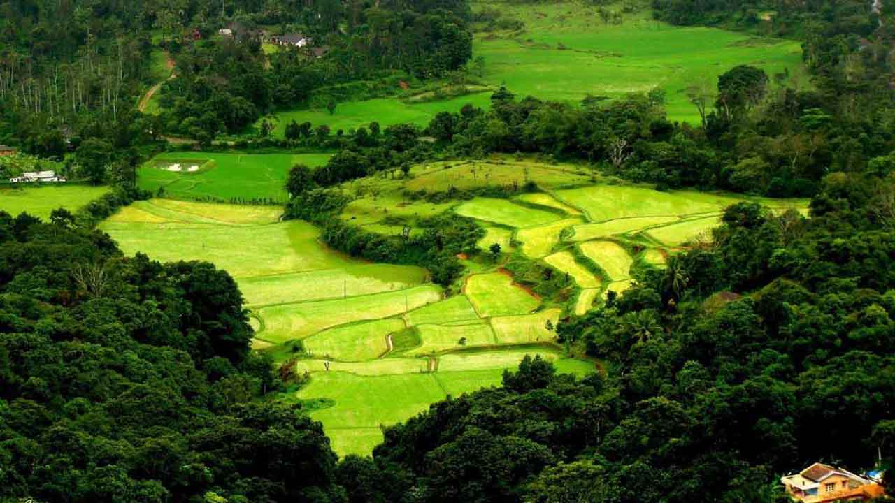 Coorg: The Scotland Of India