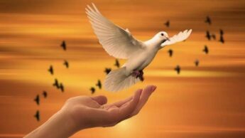 5 Mindful Tips For Busy People To Boost Your Peace