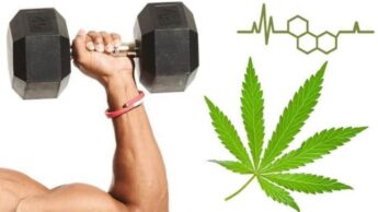 5 Pros & Cons Of Combining Exercise & CBD