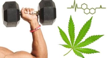 5 Pros & Cons Of Combining Exercise & CBD