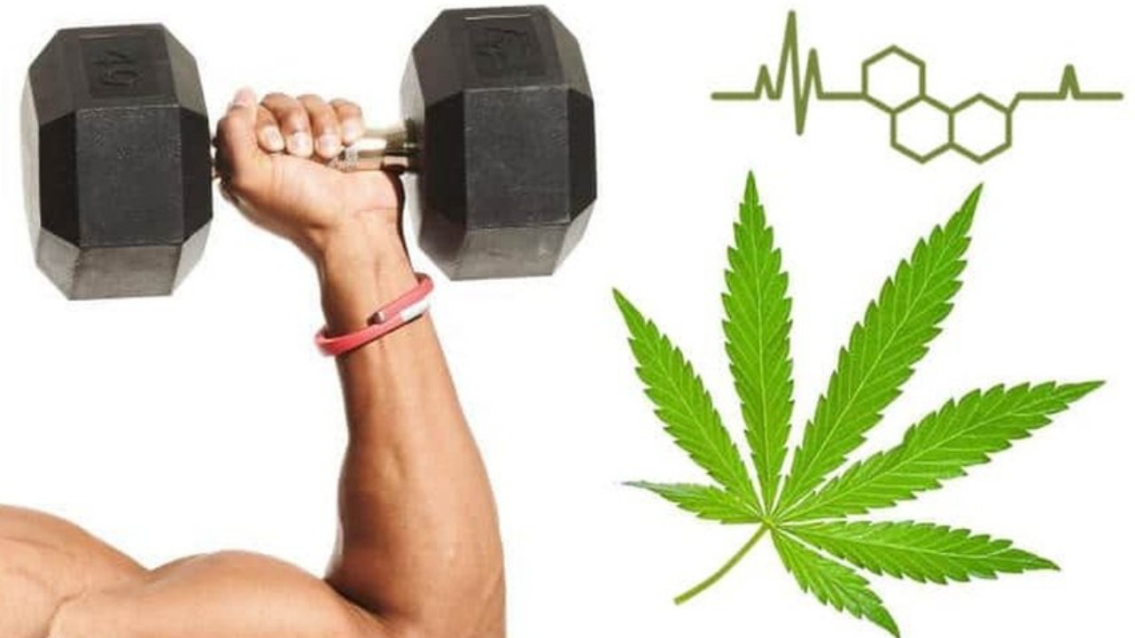 5 Pros & Cons Of Combining Exercise & CBD