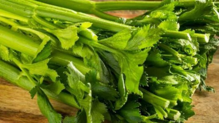Benefits Of Celery